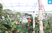 Stratford Butterfly Farm