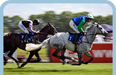 Stratford Racecourse, Stratford upon Avon