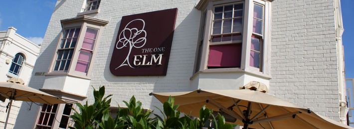 The One Elm Pub/Bistro