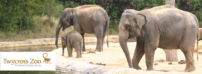 Twycross Zoo, Atherstone